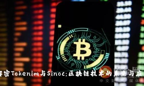 解密Tokenim与Sinoc:区块链技术的未来与应用