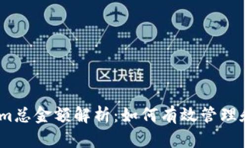 biatotiTokenim总金额解析:如何有效管理和应用数字资产