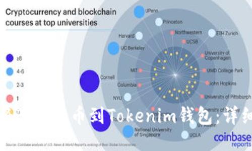 如何将Bitz提币到Tokenim钱包：详细指南