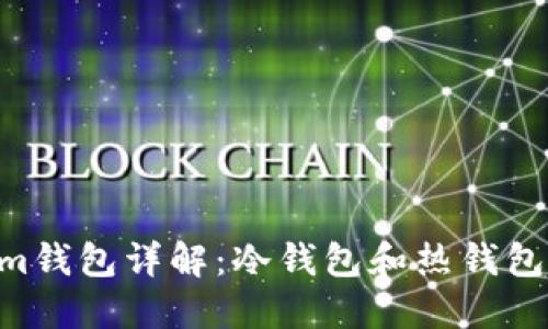 Tokentokenim钱包详解：冷钱包和热钱包的区别与应用