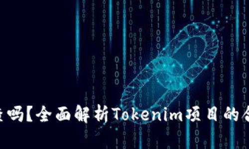 Tokenim会被追查吗？全面解析Tokenim项目的合规性与未来趋势