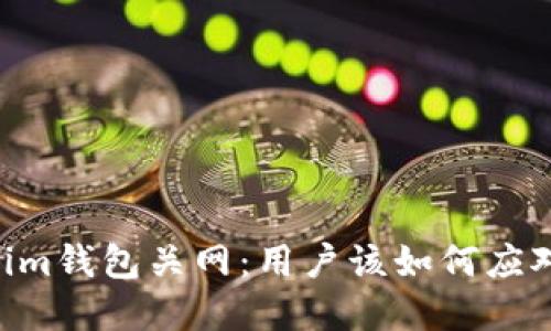 Tokentokenim钱包关网：用户该如何应对及保护资产