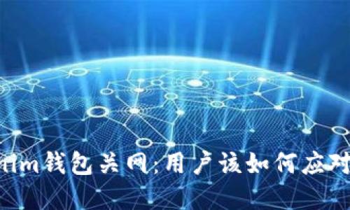 Tokentokenim钱包关网：用户该如何应对及保护资产