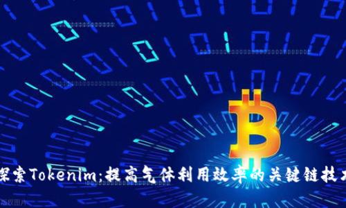 探索Tokenim:提高气体利用效率的关键链技术