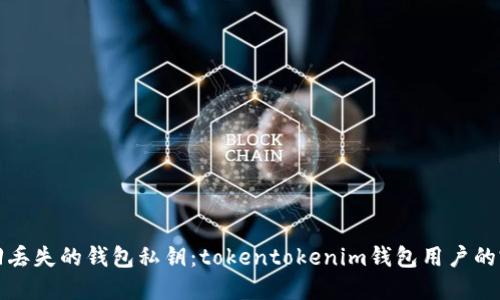如何找回丢失的钱包私钥:tokentokenim钱包用户的完整指南