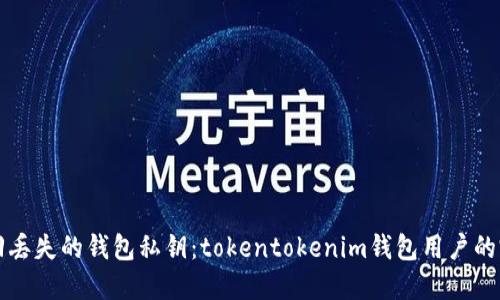 如何找回丢失的钱包私钥:tokentokenim钱包用户的完整指南