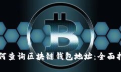 如何查询区块链钱包地址：全面指南