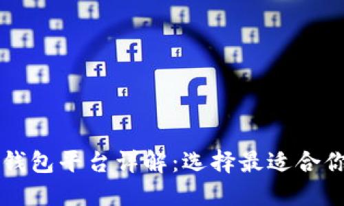 区块链数字钱包平台详解：选择最适合你的钱包方案