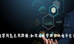 数字钱包充钱限额：如何有效管理你的电子支付