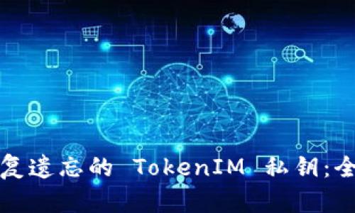如何恢复遗忘的 TokenIM 私钥：全面指南